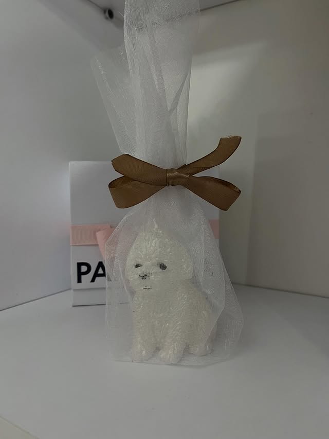 Mini pudlica